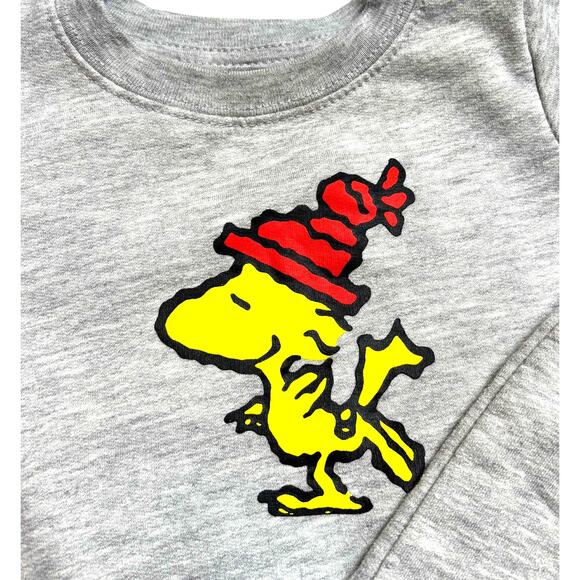 Peanuts 12m Gray Sweatshirt Sweatpants Set Woodstock Snoopy Christmas outfit - Picture 7 of 9